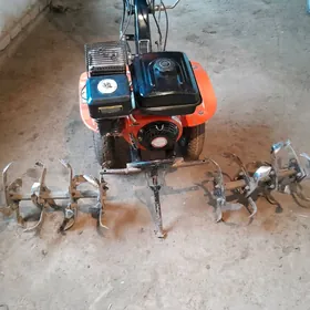 yer Suryan traktor kici