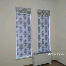 zalyuz
