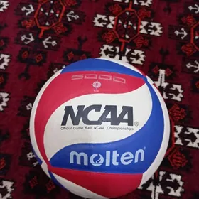 Voleybol top
