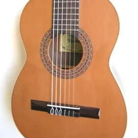 Raýmundo gitara