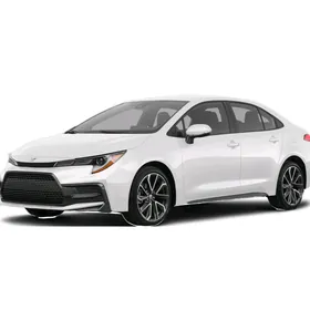Corolla Nikel Bezegler