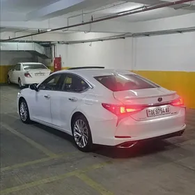 Lexus ES 350 2019