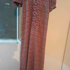 koynek sifon
