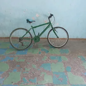 Turkmenistan tigir 26 lik