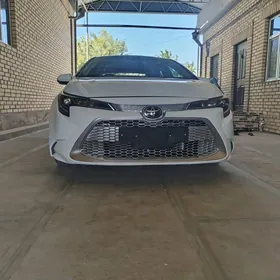 Toyota Corolla 2021