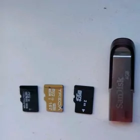 fleshka chip