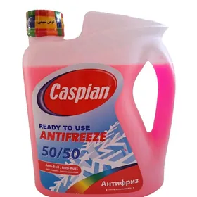 Caspian Antifriz Ýaşyl  4kg