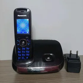 Panasonic