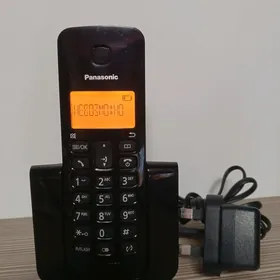 Panasonic