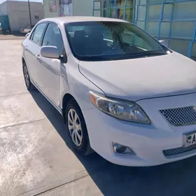 Toyota Corolla 2010
