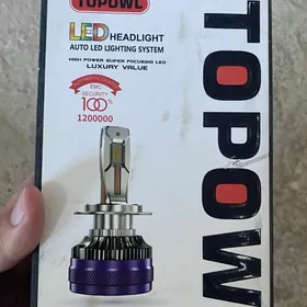LED lampochka