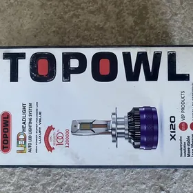 LED lampochka