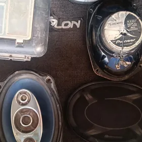 pioneer kalonka