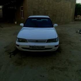 Toyota Corolla 1992