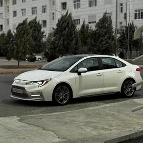 Toyota Corolla 2020