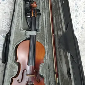 скрипка
