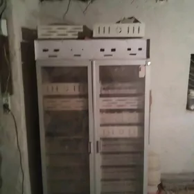 INKUBATOR MÜŇLIK