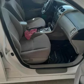 Toyota Corolla 2011