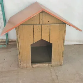 İt ketek jaý