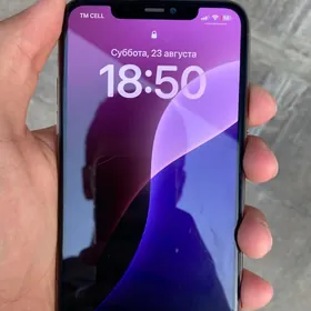 11 pro max