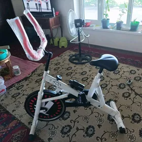 velsepet