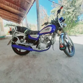 Fekon FK150-8G 2014