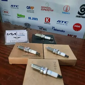 HYUNDAI KIA SWEC WE KATUSKALAR