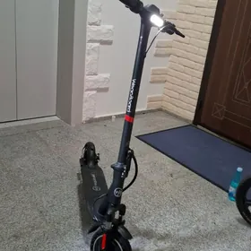 tokli skuter