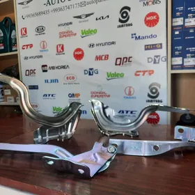 Hyundai kia  petle we salaska