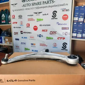 Hyundai Kia rycaklar salenblok