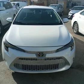 Toyota Corolla 2022