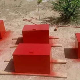 Inkubator