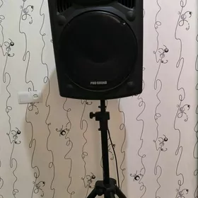 toy kolonka 100watt
