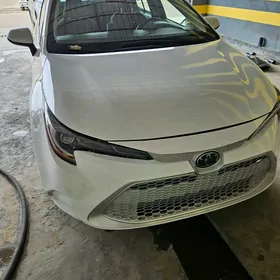 Toyota Corolla 2020