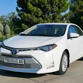 Toyota Corolla 2017