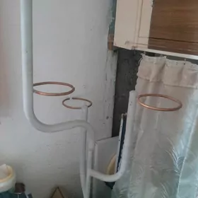 Gül goýulýan