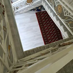 taze zaman kotej