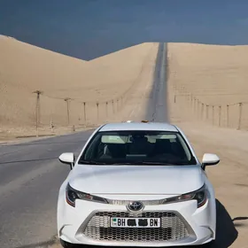 Toyota Corolla 2020