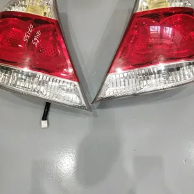 stopnik
