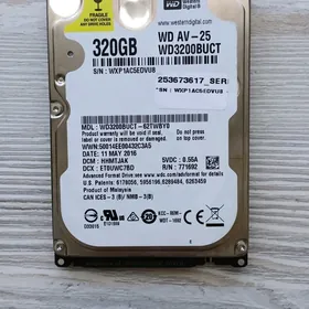 320gb/100%/38gyn