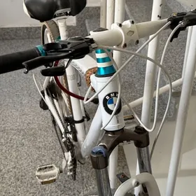 Bmw tigir