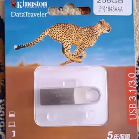 Fleşka 256gb Kingston