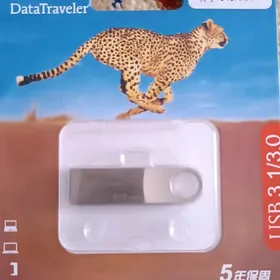 Fleşka Kingston 512gb