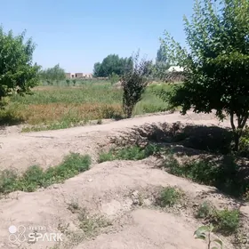 емлак