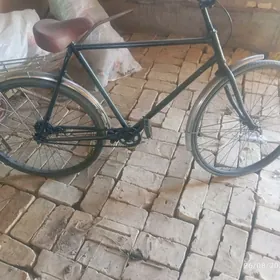 28 velik