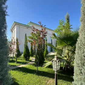 Arenda Çyzgy Kottez