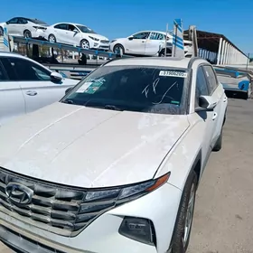 Hyundai Tucson 2021