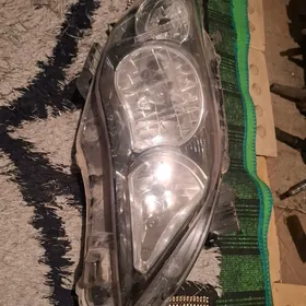carolla fara sag Tarap