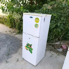 Haldynyk