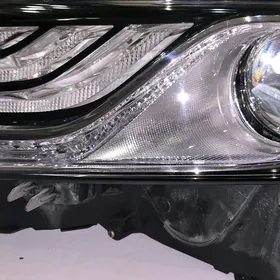 Camry Fara Halijy
